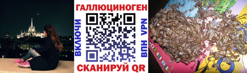 Псилоцибиновые грибы ЛСД Елец